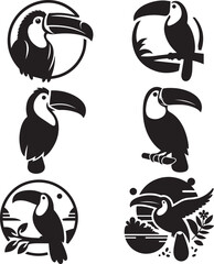 set of cartoon birds