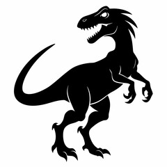 black and white horse