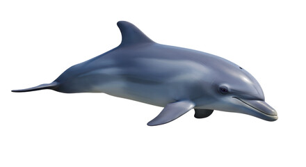 Isolated Dolphin in Realistic Style