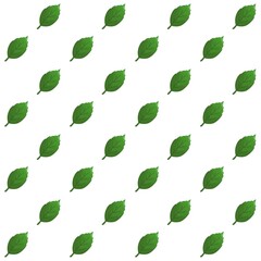 Green leaves pattern background, plaid pattern, suitable for use as wallpaper, backdrop, postcard, back