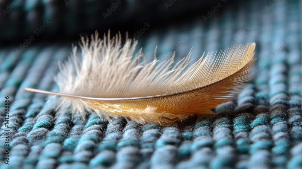 Fototapete close-up captures a single bird feather with white plumage at the top transitioning to golden brown 