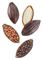 Cocoa pod Isolated white background. Cocoa beans set with clipping path