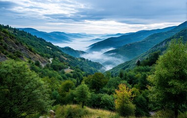 Serene Morning Landscape with Fog Rolling Through Lush Valleys