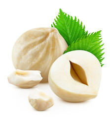 Hazelnut isolated on white background. Hazelnut Clipping Path. Studio macro shooting