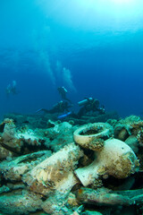 Scuba Diving | Marine life | Diver | Ocean