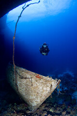 Scuba Diving | Marine life | Diver | Ocean
