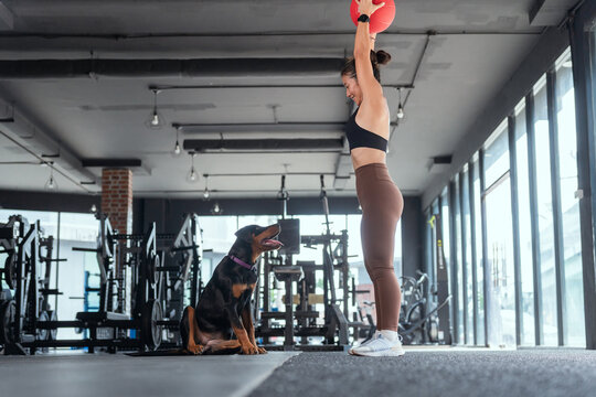 Woman exercises with a weighted ball while a dog watches in a modern gym setting during a daytime workout