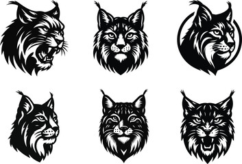 Hand-Drawn Iberian Lynx Cat Art, Great for Nature Prints and Wildlife Decor