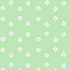 Abstract daisy white flowers vector background. Small size flowers. Floral seamless pattern. Flat simple decorative of mint green pastel color design. stock illustration