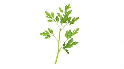 Naklejka premium a branch of a plant with green leaves on a transparent background, PNG image, PNG file, Generative art.