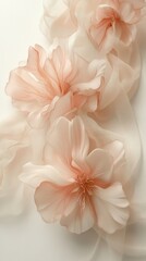 Obraz premium A trio of delicate pink flowers with soft petals and vibrant hues, gracefully arranged against a clean white background, creating a fresh and serene aesthetic.