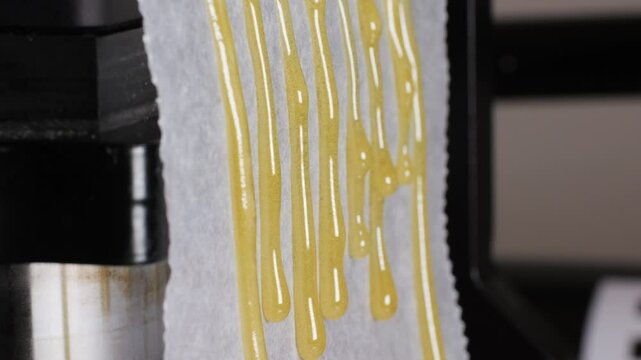 Freshly pressed medical cannabis, hash, live rosin, close-up. Concentrate or cannabis oil obtained by heat-pressing fresh marijuana auto-flowering plants. Production of CBD isolate