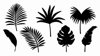 set palm leaf silhouette vector on white background © Rani