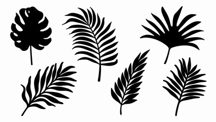 set palm leaf silhouette vector on white background © Rani