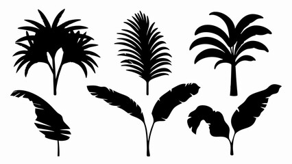 set palm leaf silhouette vector on white background © Rani