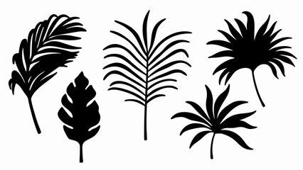 set palm leaf silhouette vector on white background © Rani