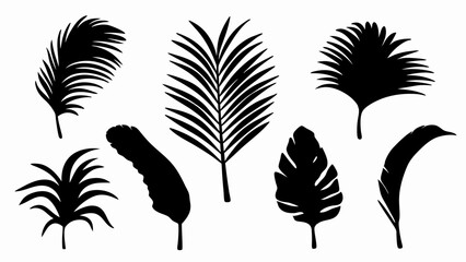 set palm leaf silhouette vector on white background © Rani