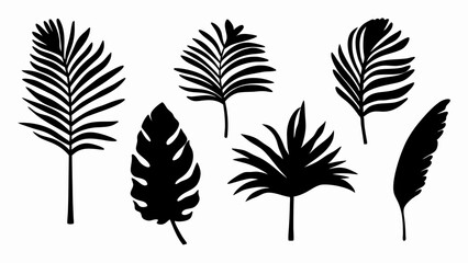set palm leaf silhouette vector on white background © Rani