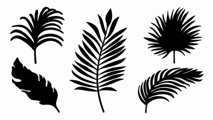 set palm leaf silhouette vector on white background © Rani