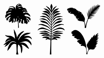 set palm leaf silhouette vector on white background © Rani
