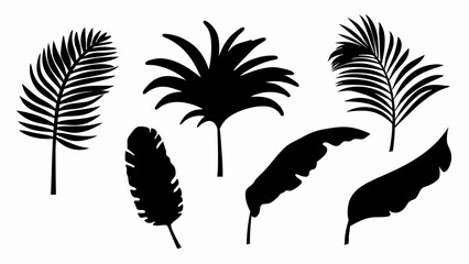 set palm leaf silhouette vector on white background