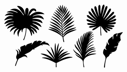 set palm leaf silhouette vector on white background © Rani