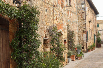Fototapeta premium A rustic stone wall in Monteriggioni, Italy, featuring a wooden door surrounded by lush greenery in planters, evoking a charming and historic atmosphere.