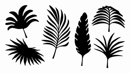 set palm leaf silhouette vector on white background © Rani