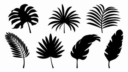 set palm leaf silhouette vector on white background © Rani