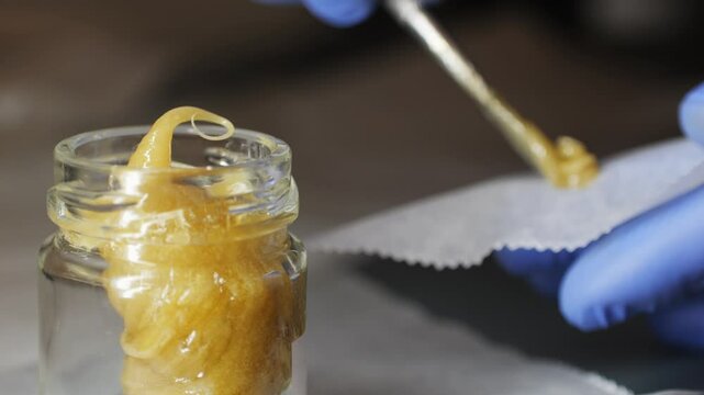 Freshly pressed medical CBD cannabis, hash, live rosin, close-up. Concentrate or cannabis oil obtained by heat-pressing fresh marijuana auto-flowering plants. Packing and Storage of CBD isolate