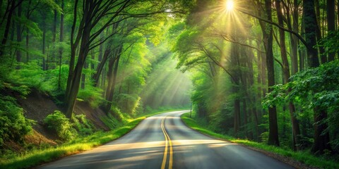 Obraz premium Sunbeams illuminating a winding road through a lush green forest