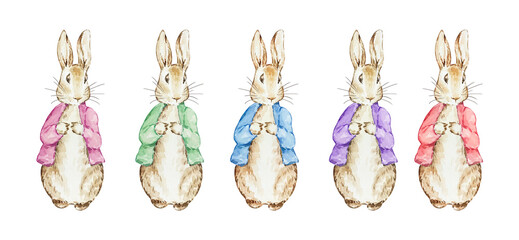 Watercolor Peter Rabbit in a Jacket, illustration children's book