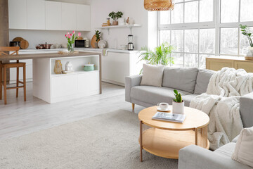Interior of light studio apartment with sofas, tables and kitchen counters