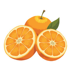 Fresh Orange Fruits with Leaf Isolated Hand Drawn Vector Illustration with Two Halves Slices