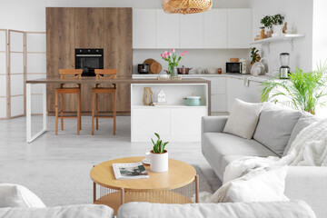 Interior of light studio apartment with sofas, tables and kitchen counters