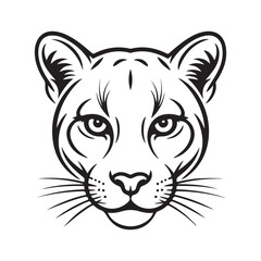 Cougar Head Sketch Illustration