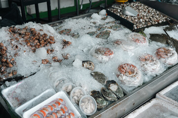 wide selection of fresh seafood on ice including oysters, crabs, snails, and shrimp, perfectly preserved for premium cooking, offering rich flavors and variety at a bustling seafood market stall