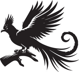 Quetzal bird vector art