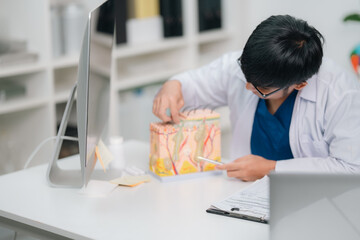 Dermatologist explaining skin structure using a medical model to diagnose and understand various skin conditions, promoting awareness, early detection, and treatment of dermatological diseases