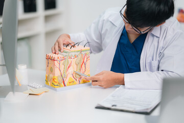 Dermatologist explaining skin structure using a medical model to diagnose and understand various...
