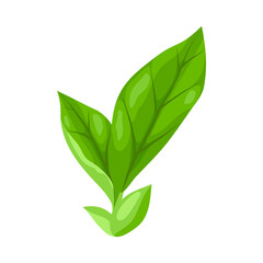 Illustration of leaves. Spring or summer stylized foliage.