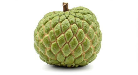 Fototapeta premium Single custard apple with a bumpy, scale-like green skin featuring a mix of pale and dark green tones