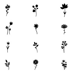Naklejka premium Set of silhouettes of plants