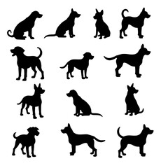 Dogs silhouettes vector illustration collection