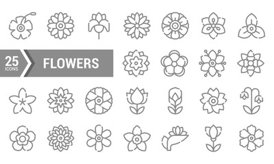 25 Lineal Flower Icons for Design Projects.
