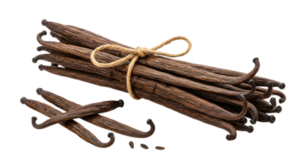Vanilla bean bundle on transparent background