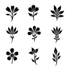 Collection of floral and botanical elements. Set of leaf, foliage wildflowers, plants, bloom, leaves and herb.