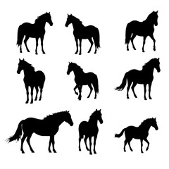 Horse silhouettes set, Vector big set of horses silhouettes isolated on wihite background