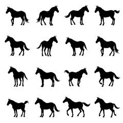 Set of Horse silhouette vector on white background
