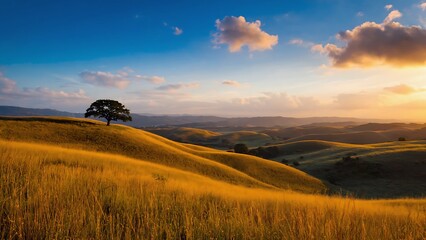 Obraz premium Golden Sunset over Rolling Hills